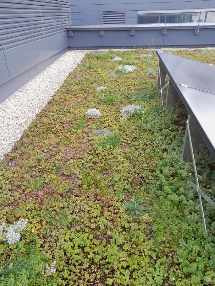 découvrez comment allier esthétique et durabilité avec des toits verts combinés à des panneaux photovoltaïques. transformez votre espace en un écosystème vivant tout en profitant d'une énergie renouvelable et en réduisant votre empreinte carbone. explorez les avantages de cette solution innovante pour un avenir plus vert.