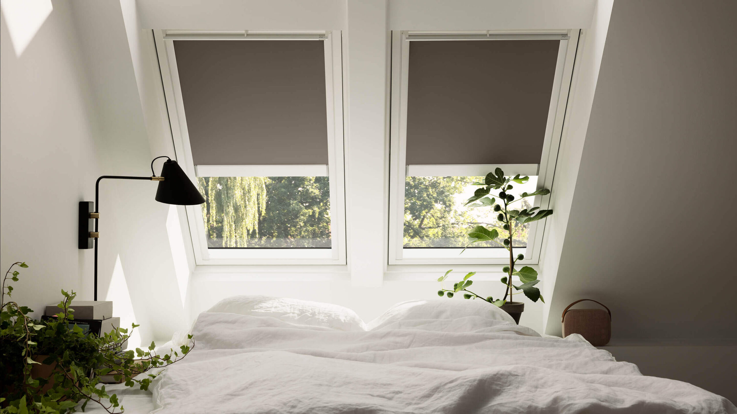 découvrez nos fenêtres de toit velux, synonymes de luminosité et d'aération pour votre intérieur. améliorez votre espace de vie avec des solutions innovantes et durables qui allient design et fonctionnalité.